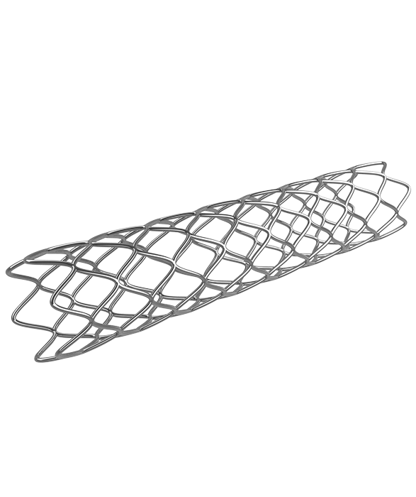 2.7.2_Cardiology_Vascular-Stents