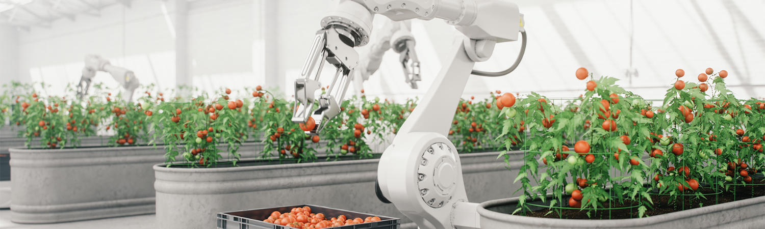 robotic machine in vegetation greenhouse